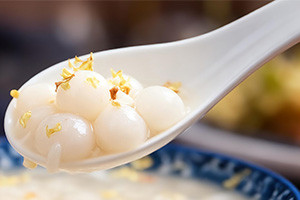 中藥制丸機(jī)